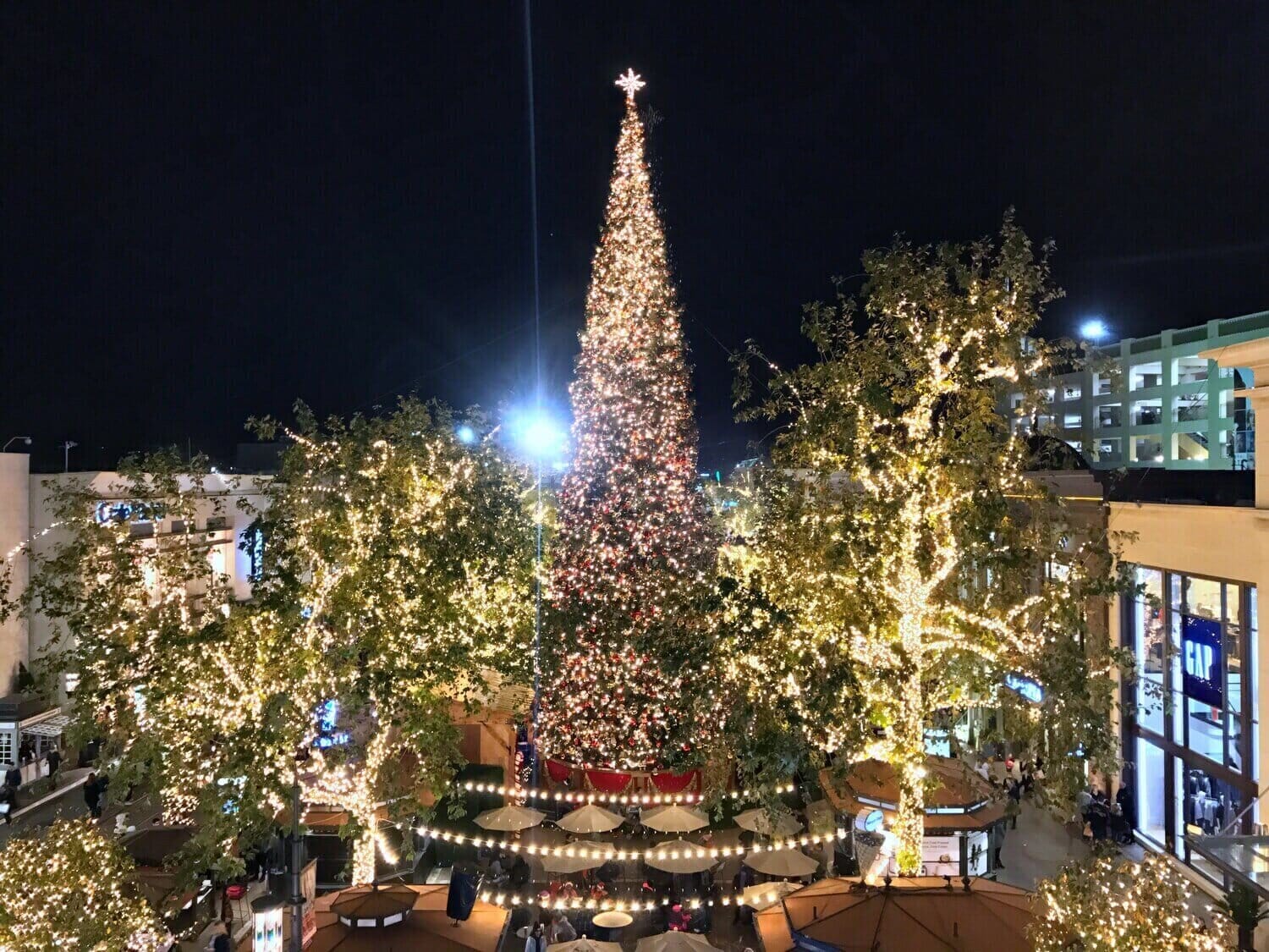 plaza and trees decorated with christmas lights