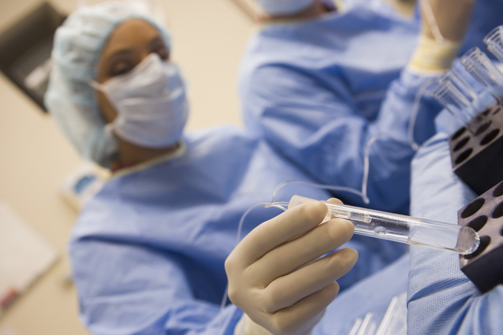 two fertility specialists working on an egg retrieval