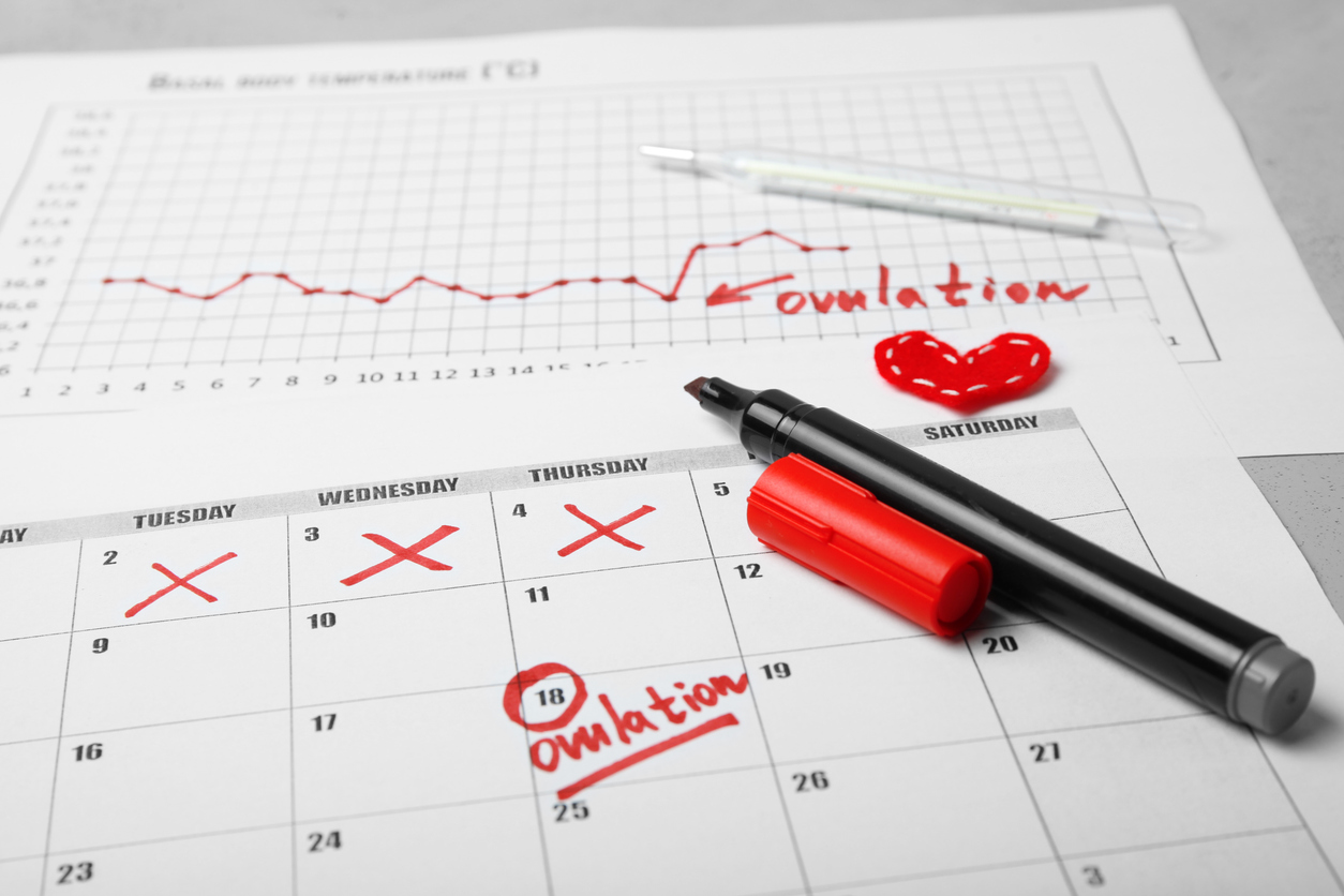 ovulation calendar