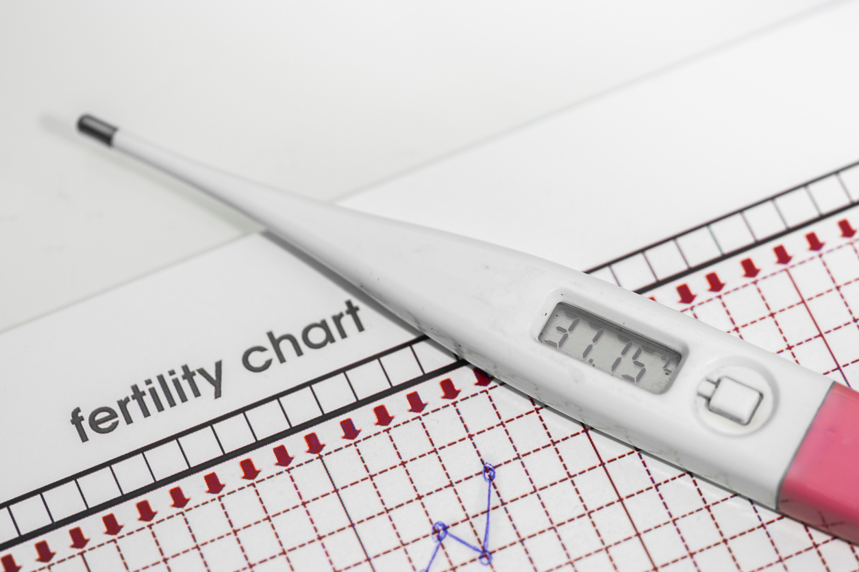 thermometer on a fertility chart