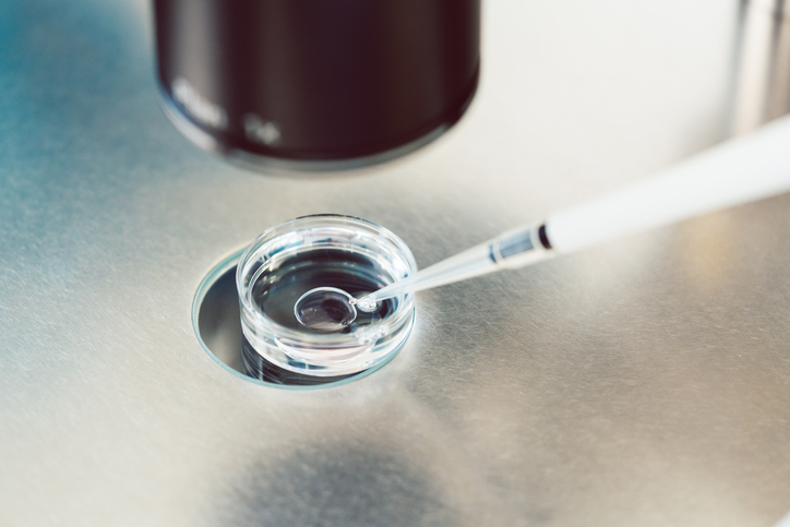 emybryoglue in a petri dish