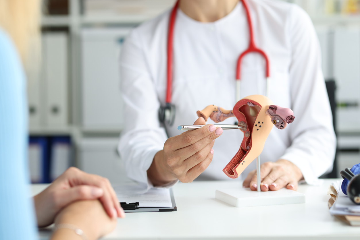 doctor using an anatomical model to demonstrate how an endometrial biopsy works