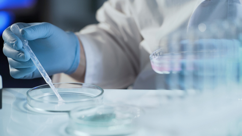 embryologist working in the lab