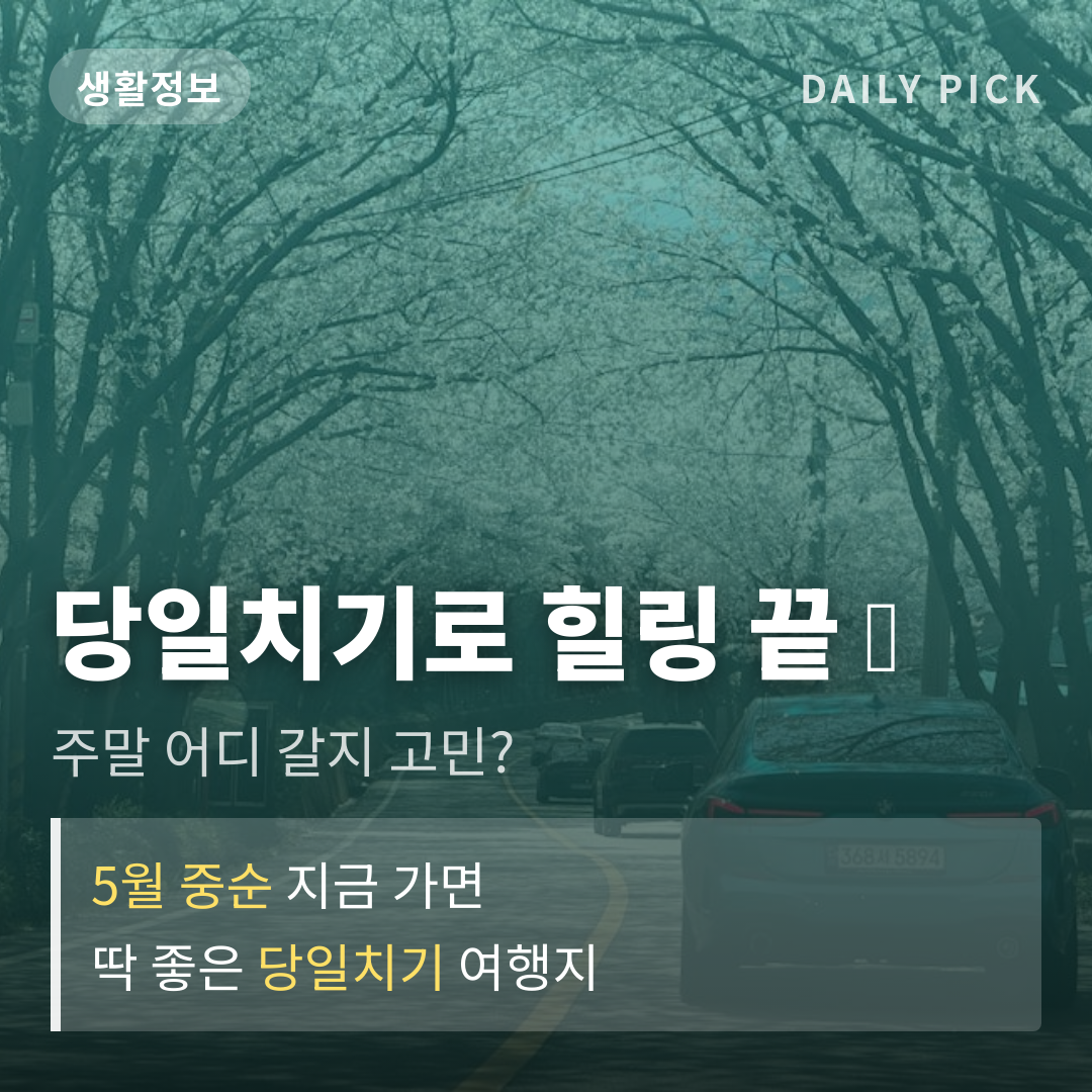 카드뉴스 1