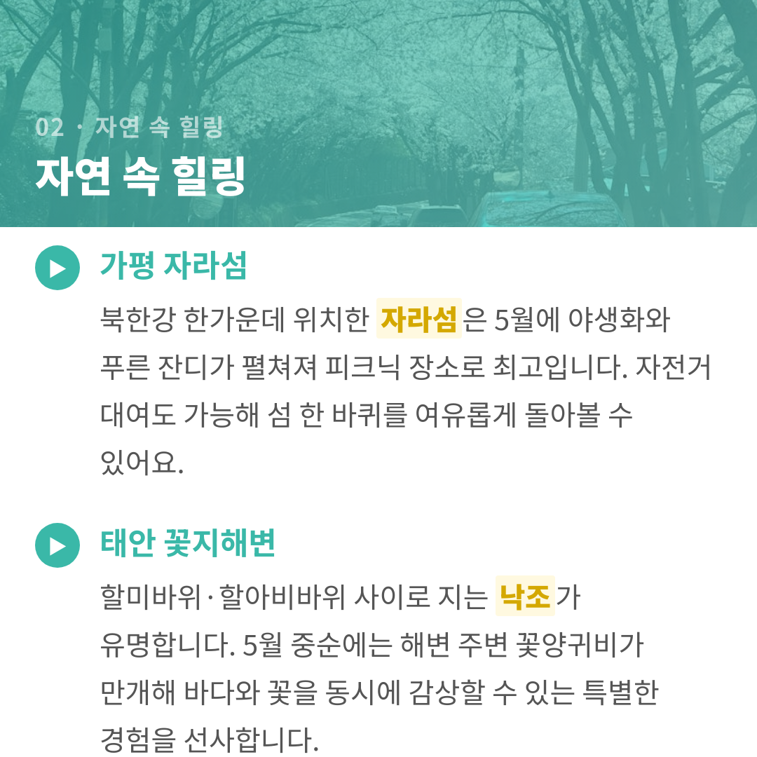 카드뉴스 4