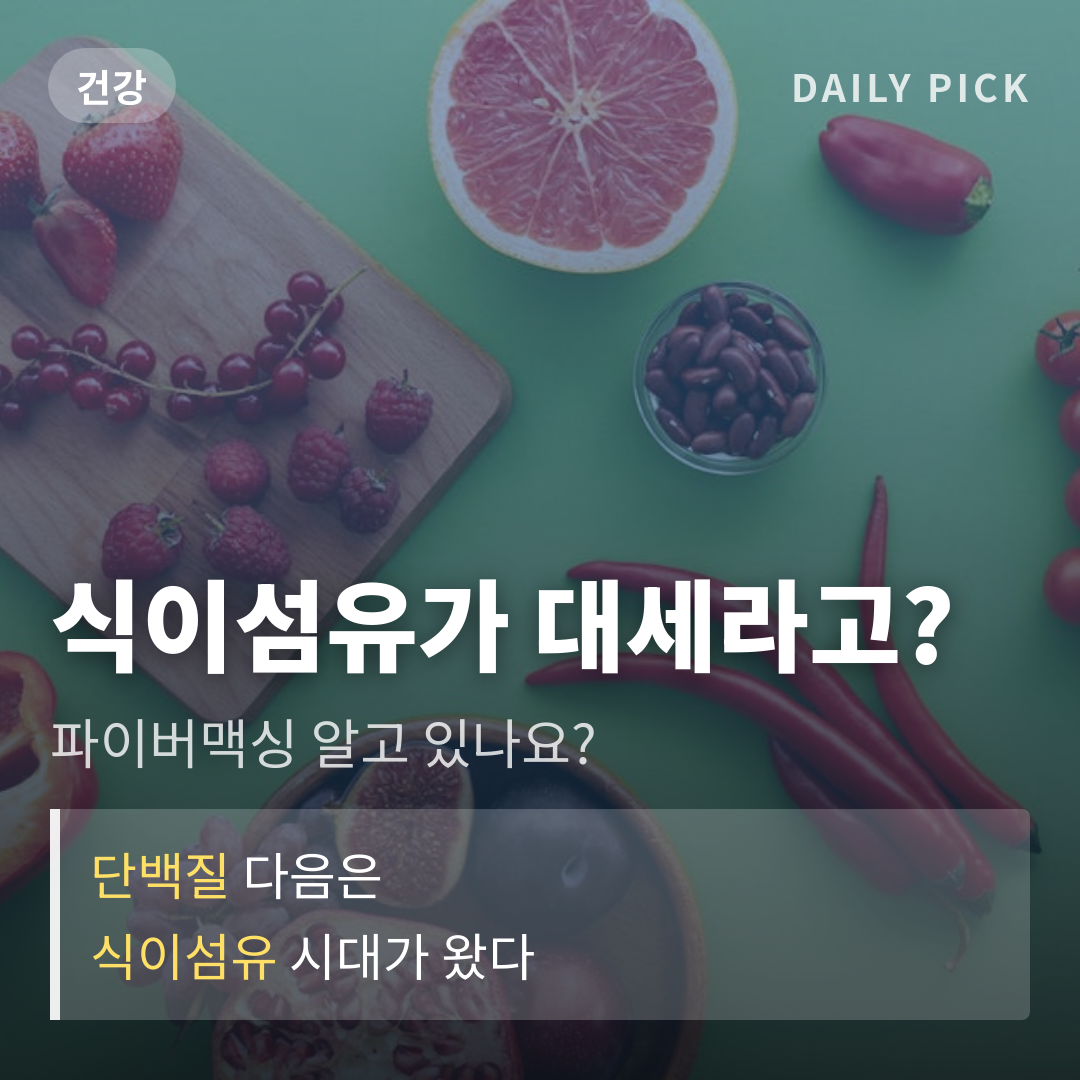 카드뉴스 1