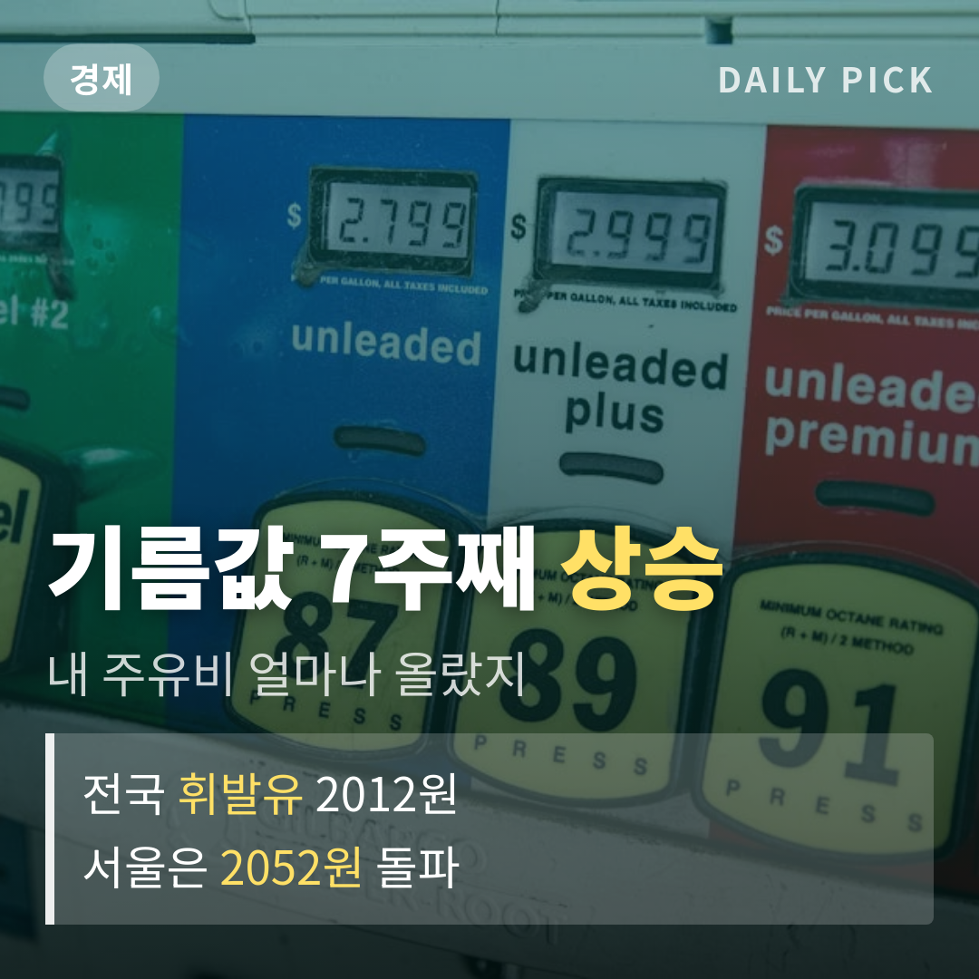 카드뉴스 1