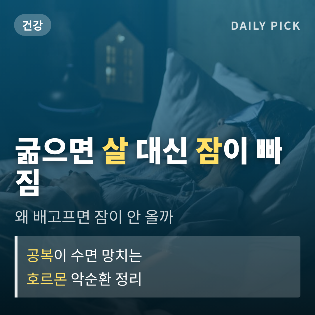카드뉴스 1