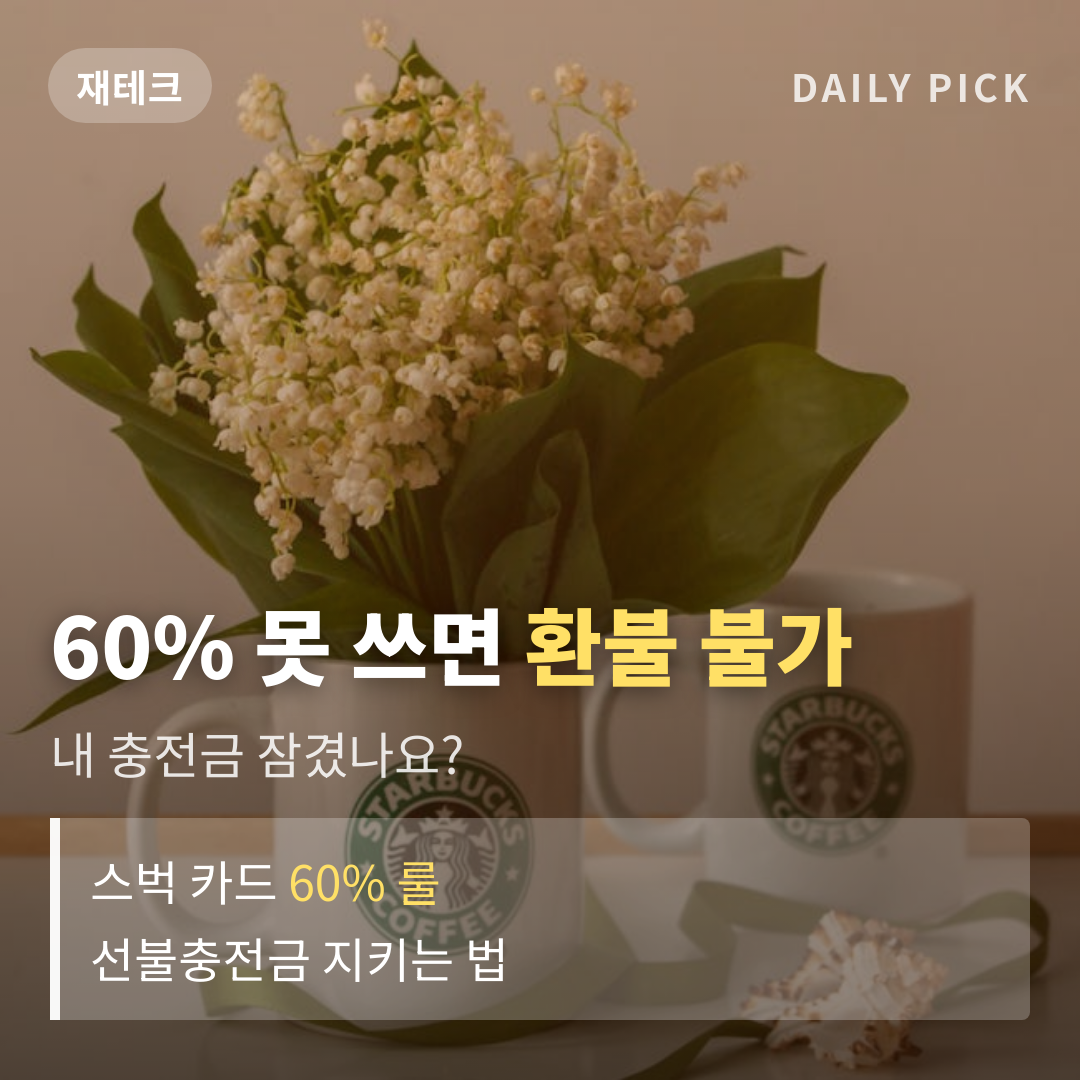 카드뉴스 1