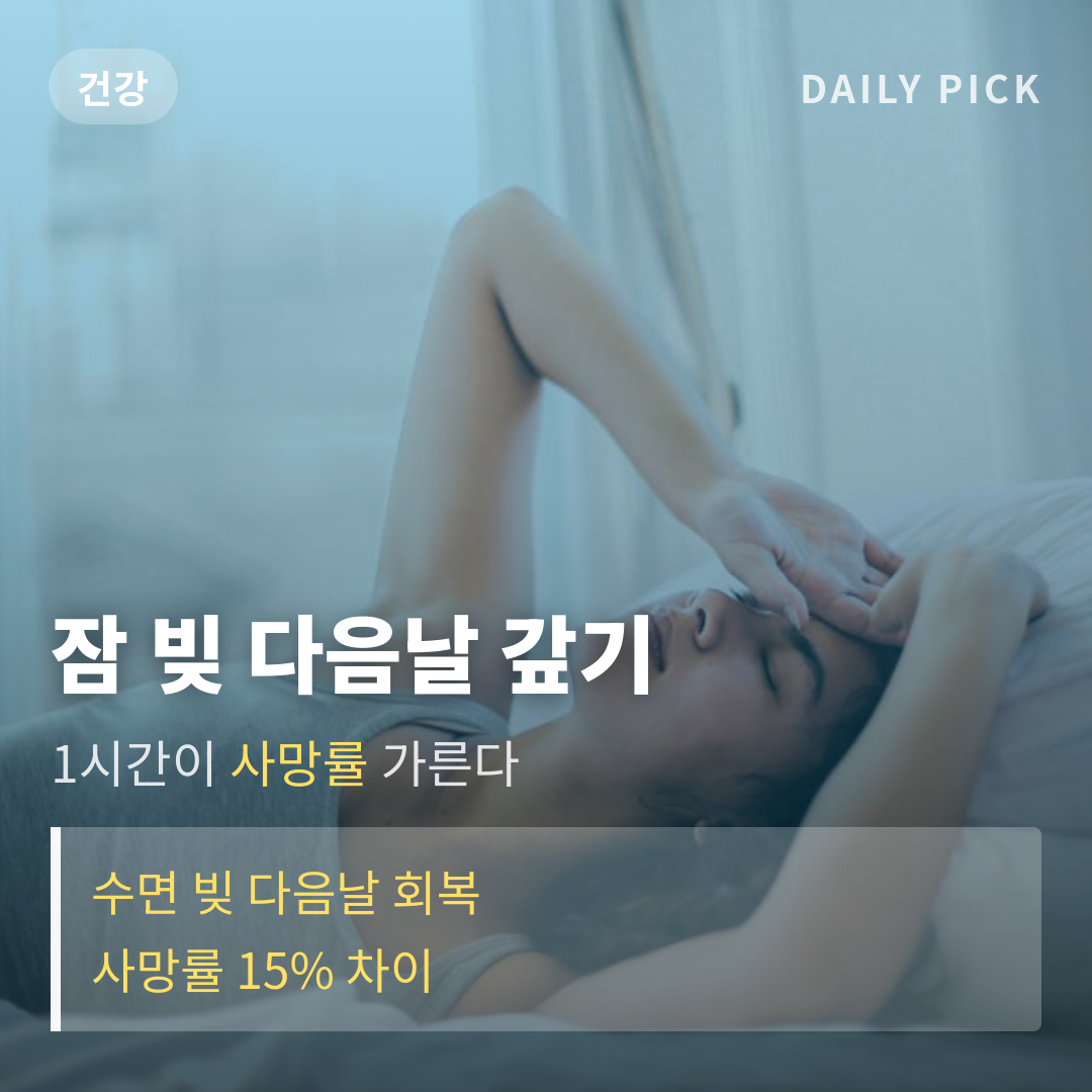 카드뉴스 1