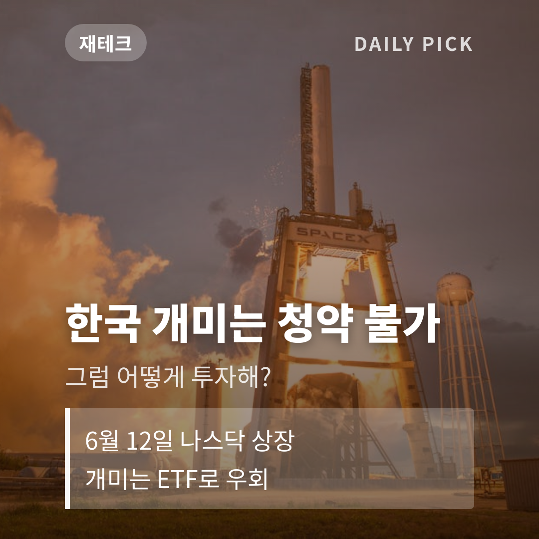 스페이스X IPO 한국 개인 직접 청약 불가·지금 할 수 있는 현실적 투자법 3가지 카드뉴스 1페이지 - 후크 및 핵심 질문