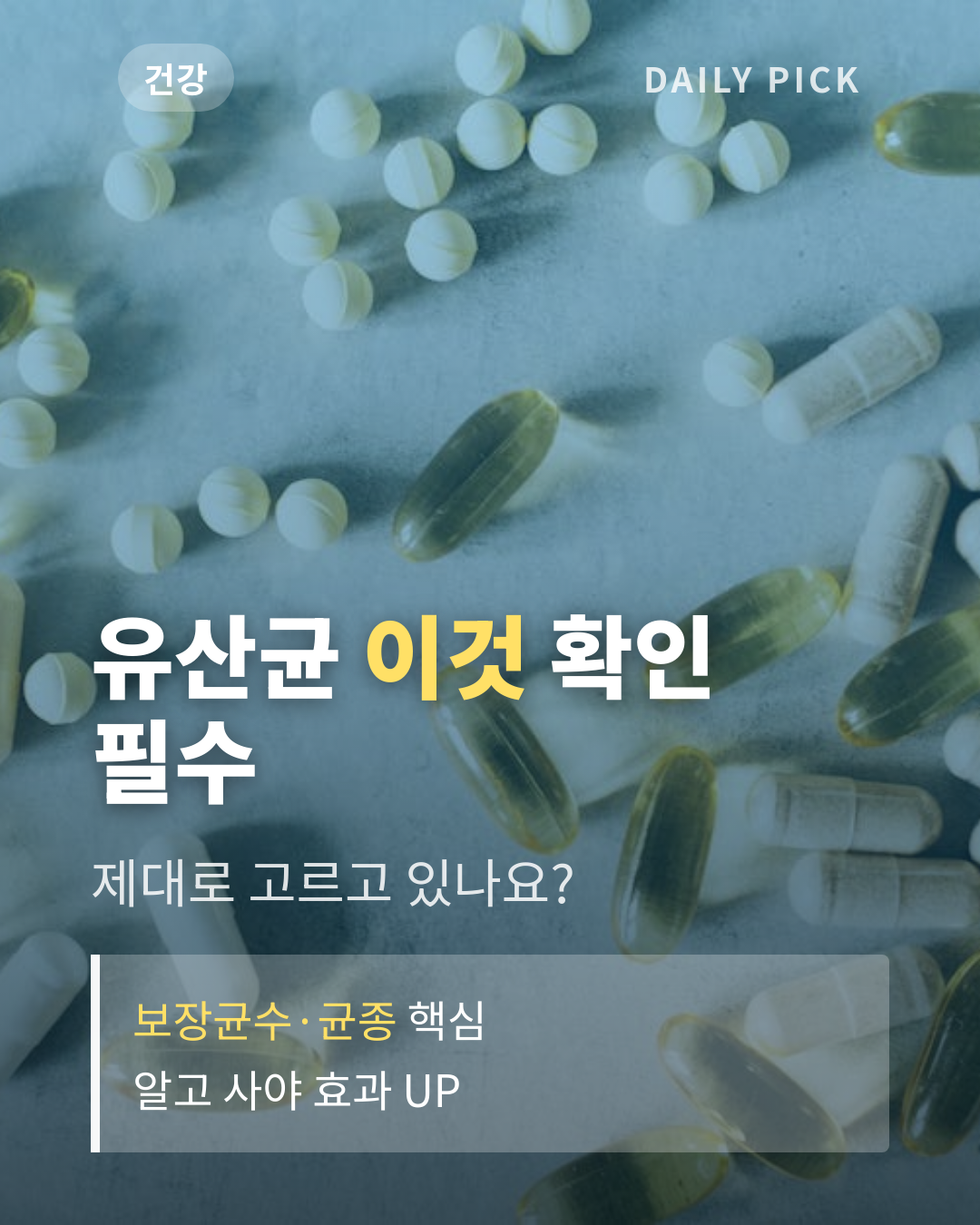 유산균 고르는 기준, 균종·보장균수 완벽 정리 카드뉴스 1페이지 - 후크 및 핵심 질문