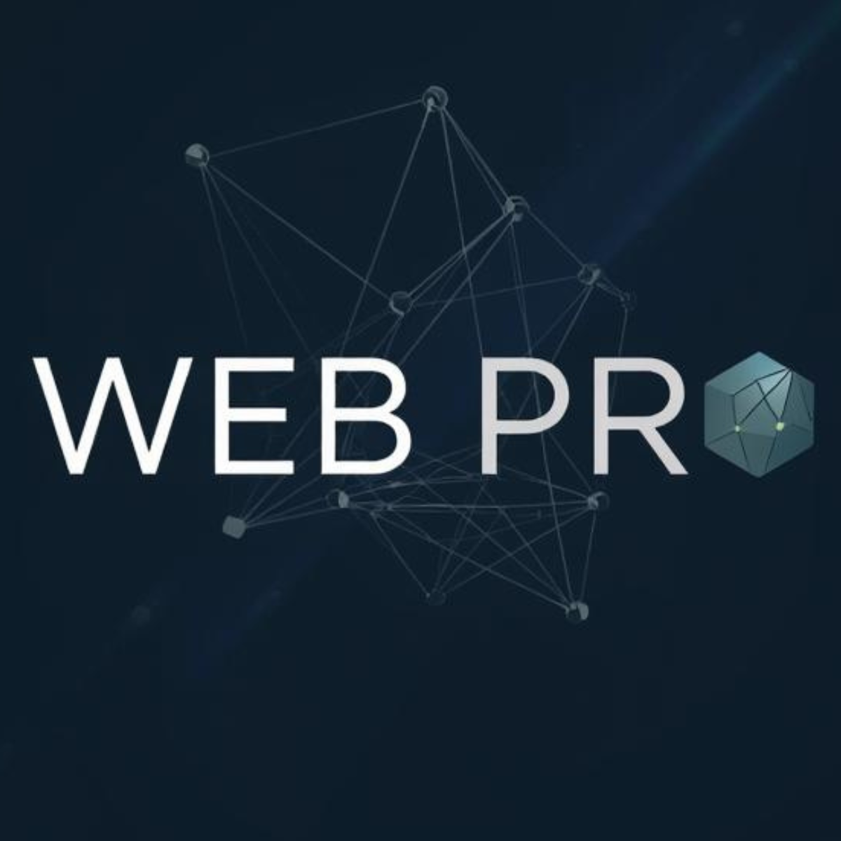Webai Pro Professional Websites for Freelancers & Small Business | WebPro AI Studio