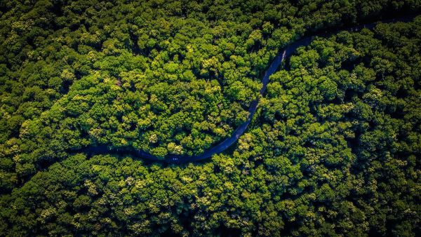 Arial view of the amazon rainforest and river