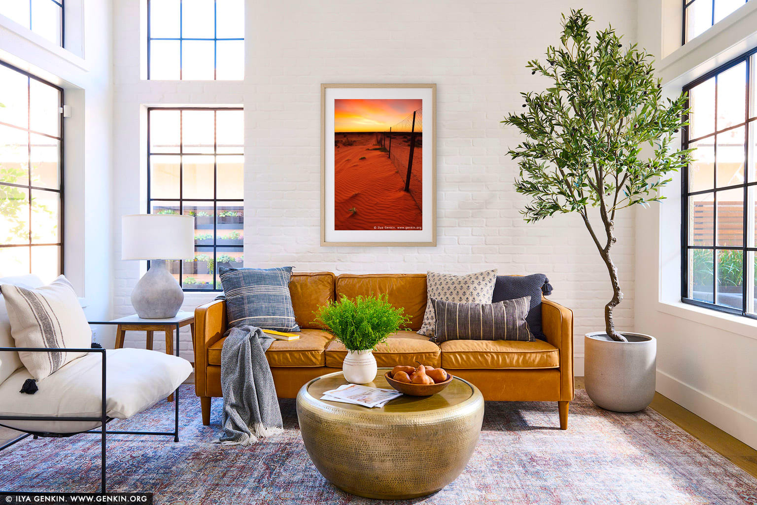 Dingo Fence near Cameron Corner at Sunrise wall art in a modern living room interior