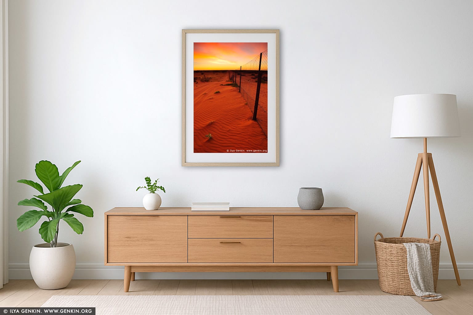 Dingo Fence near Cameron Corner at Sunrise wall art in a contemporary living room interior