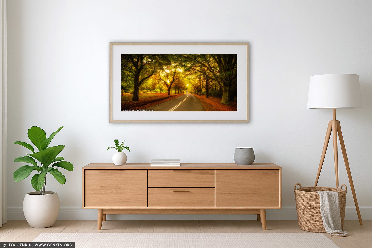 Autumn Avenue in Mount Wilson wall art in a contemporary living room interior