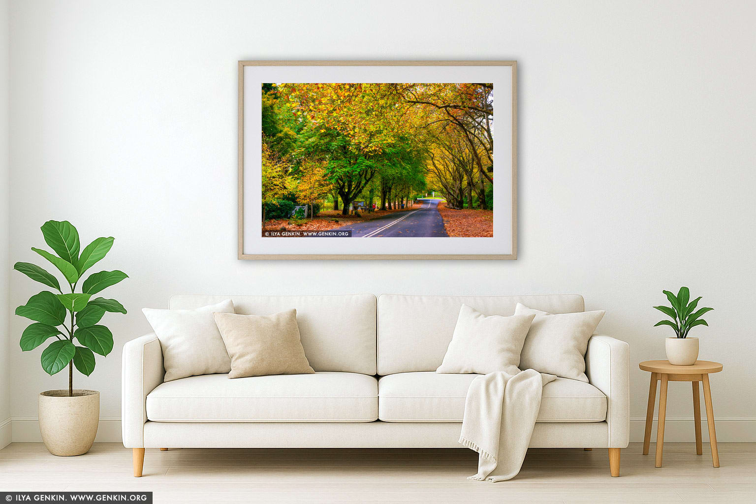 Autumn Avenue in Mount Wilson wall art in a luxury living room interior