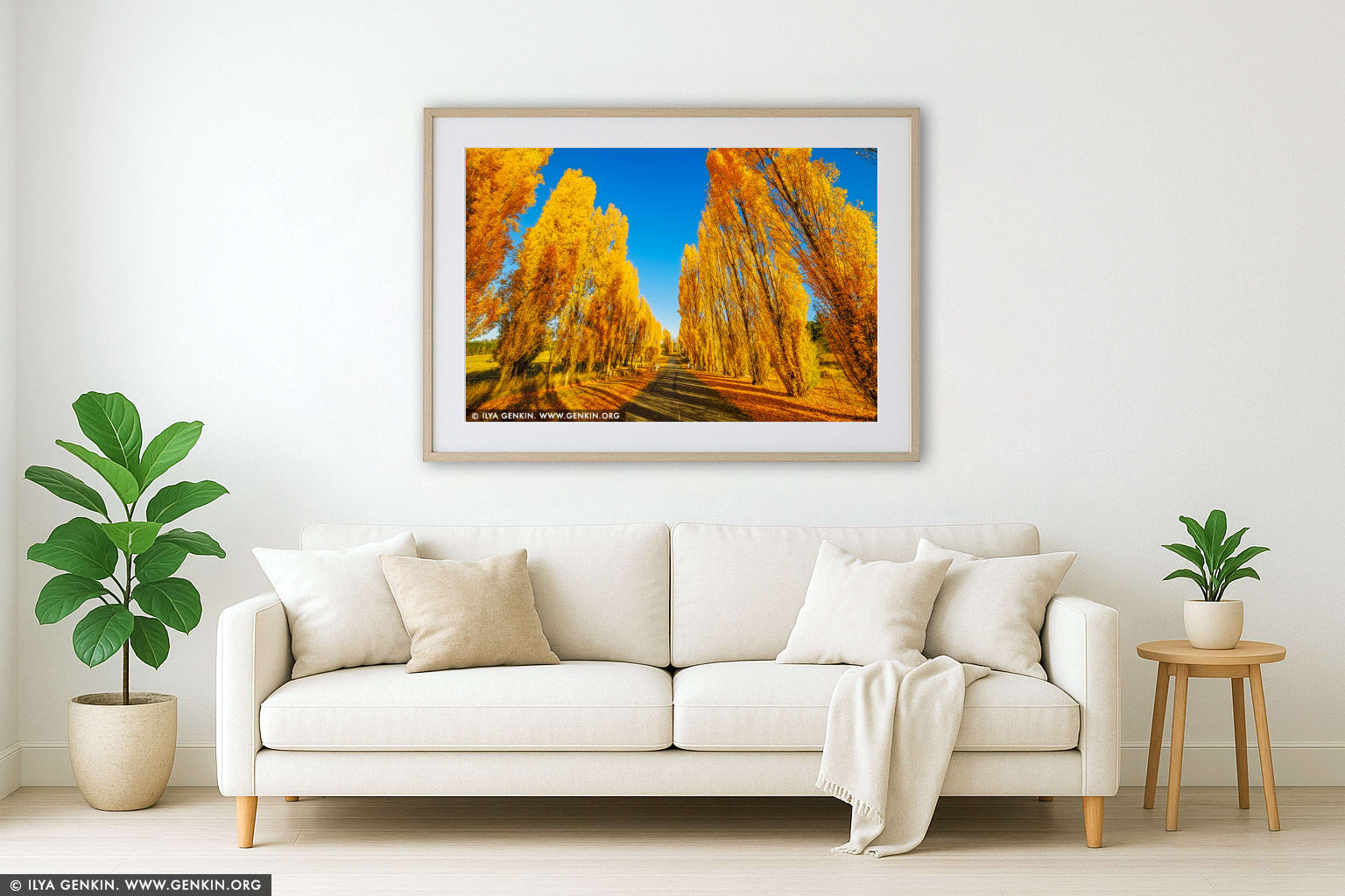 Poplars at Meadow Flat in Autumn wall art in a modern living room interior