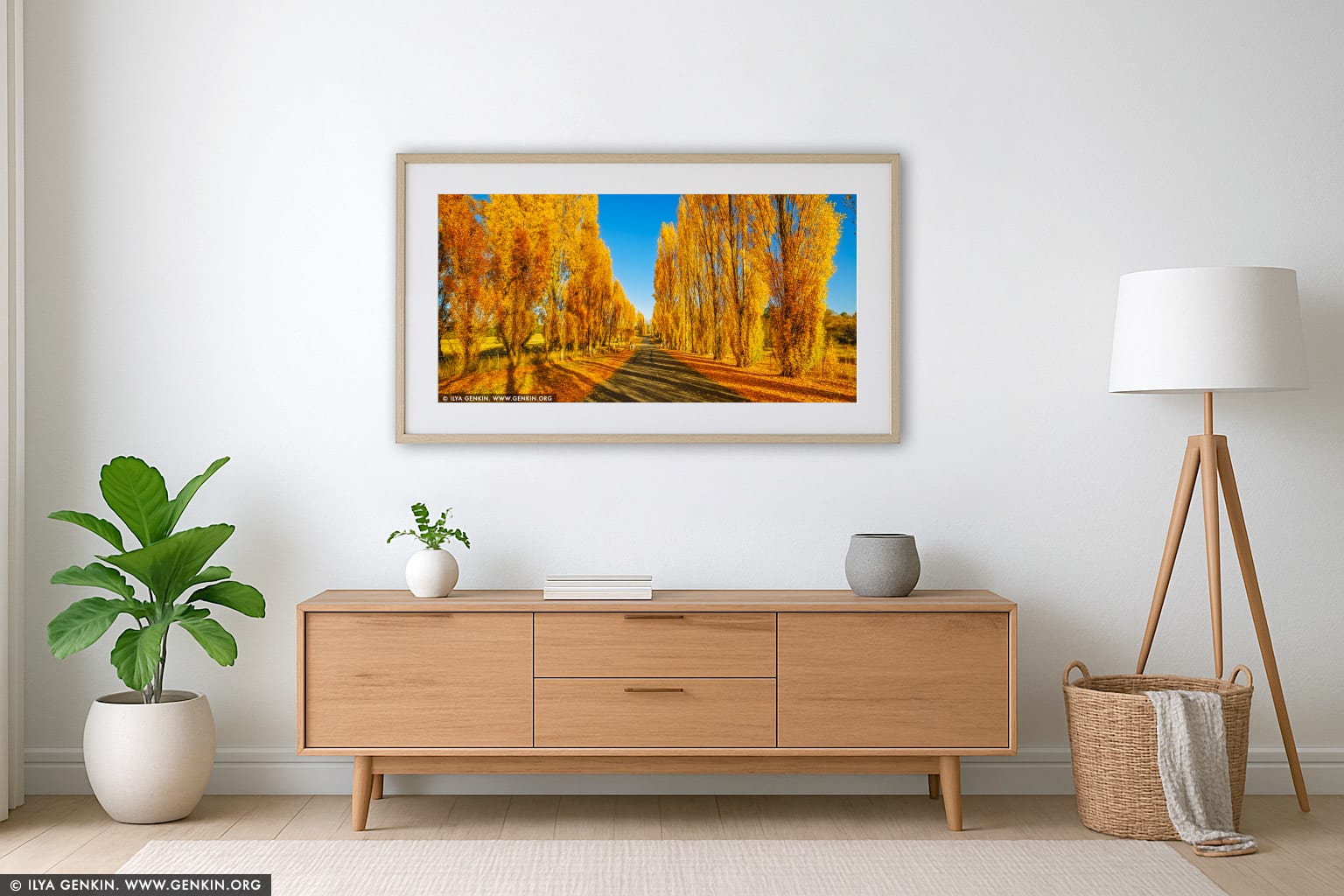Autumn Poplars at Meadow Flat wall art in a luxury living room interior