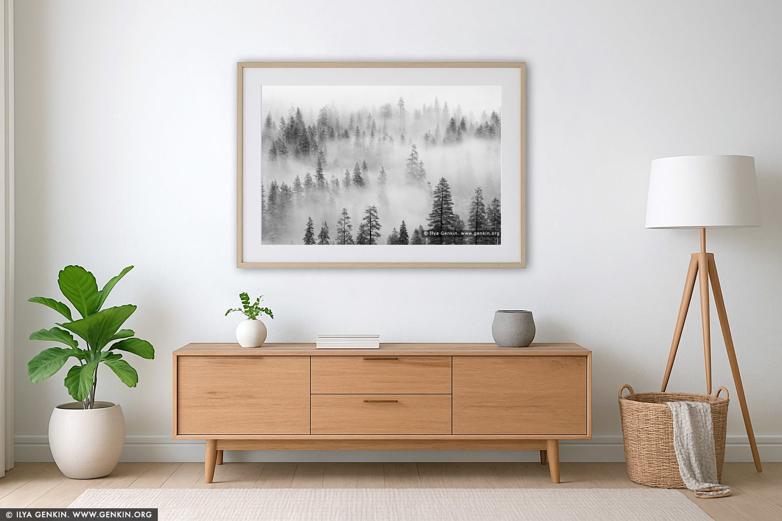 Pine Trees in Clouds After a Snow Storm wall art in a contemporary living room interior