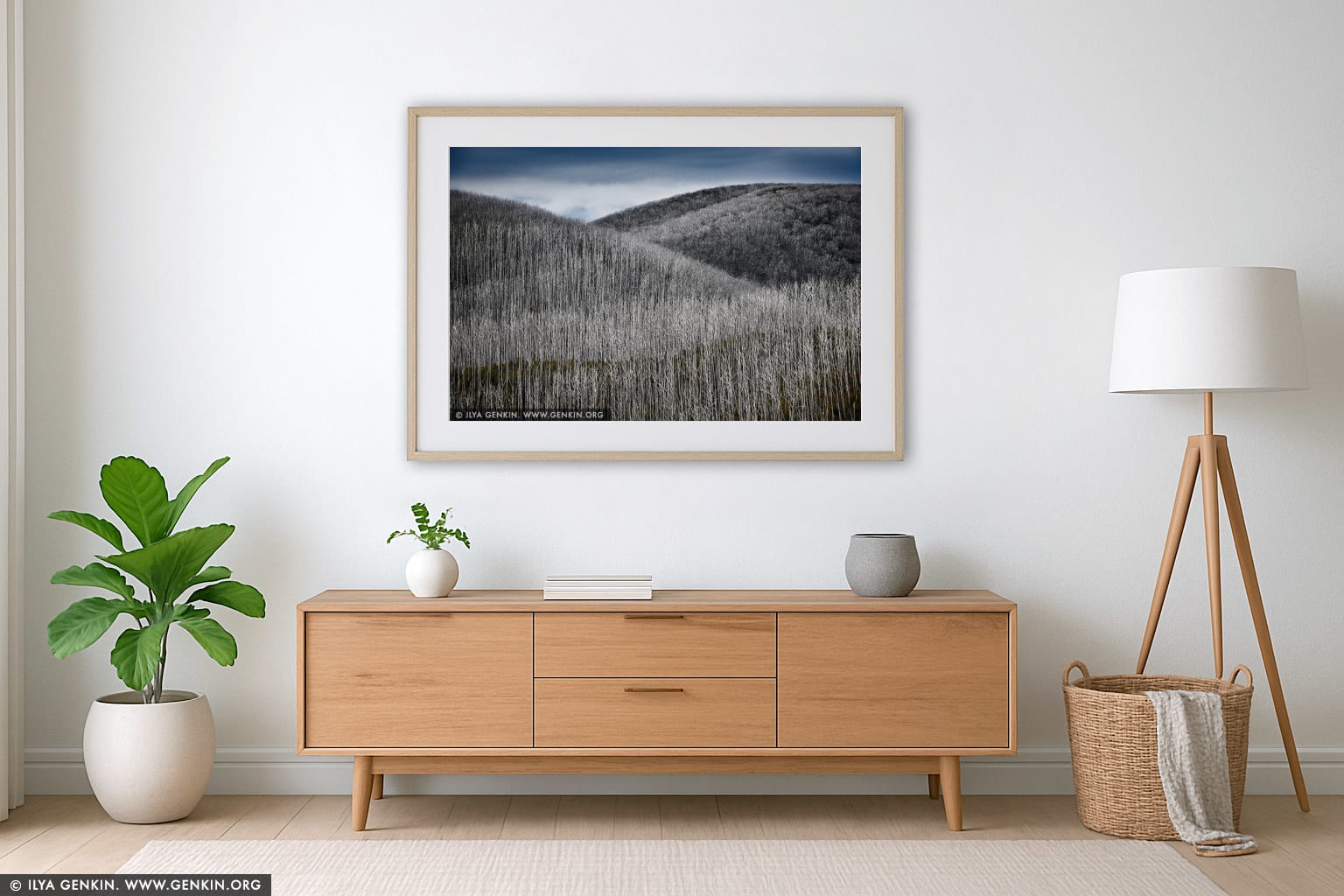 Burnt Snow Gum Forest wall art in a contemporary living room interior