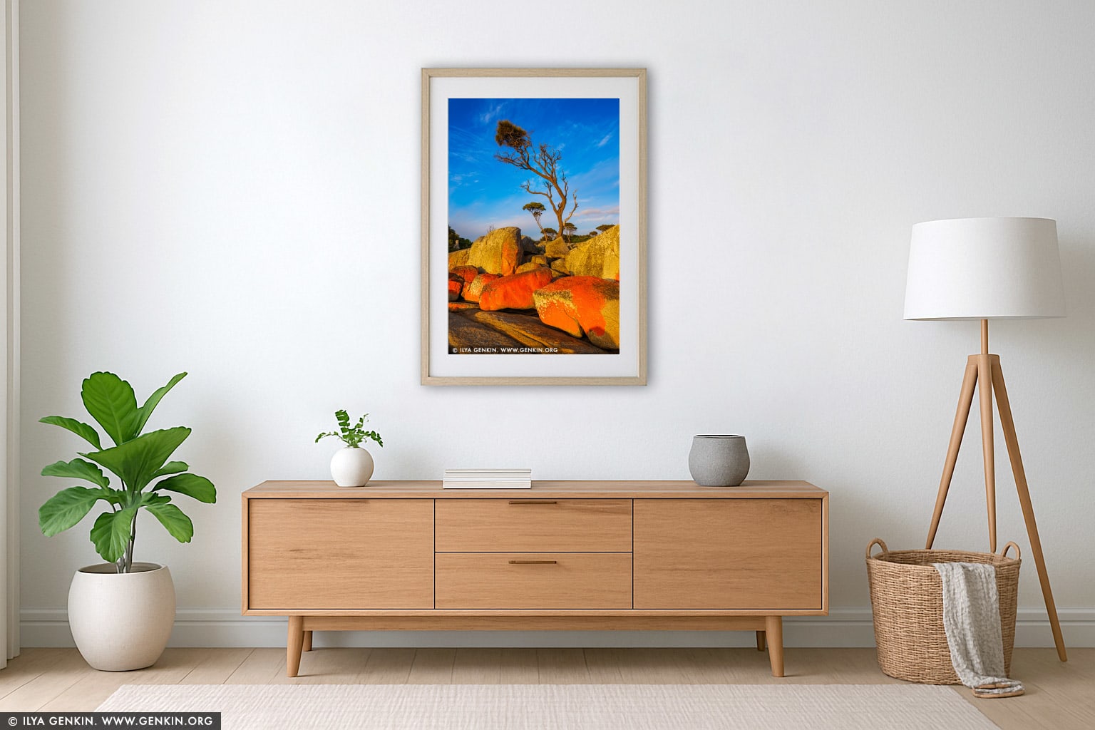 Lonely Tree at Binalong Bay wall art in a contemporary living room interior