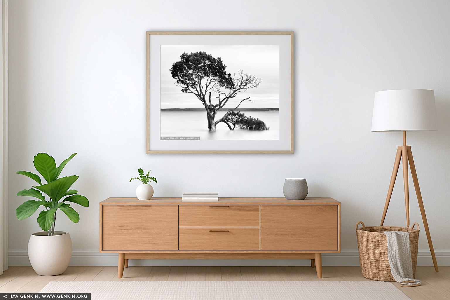 Mangroves at Tenby Point wall art in a minimalist living room interior