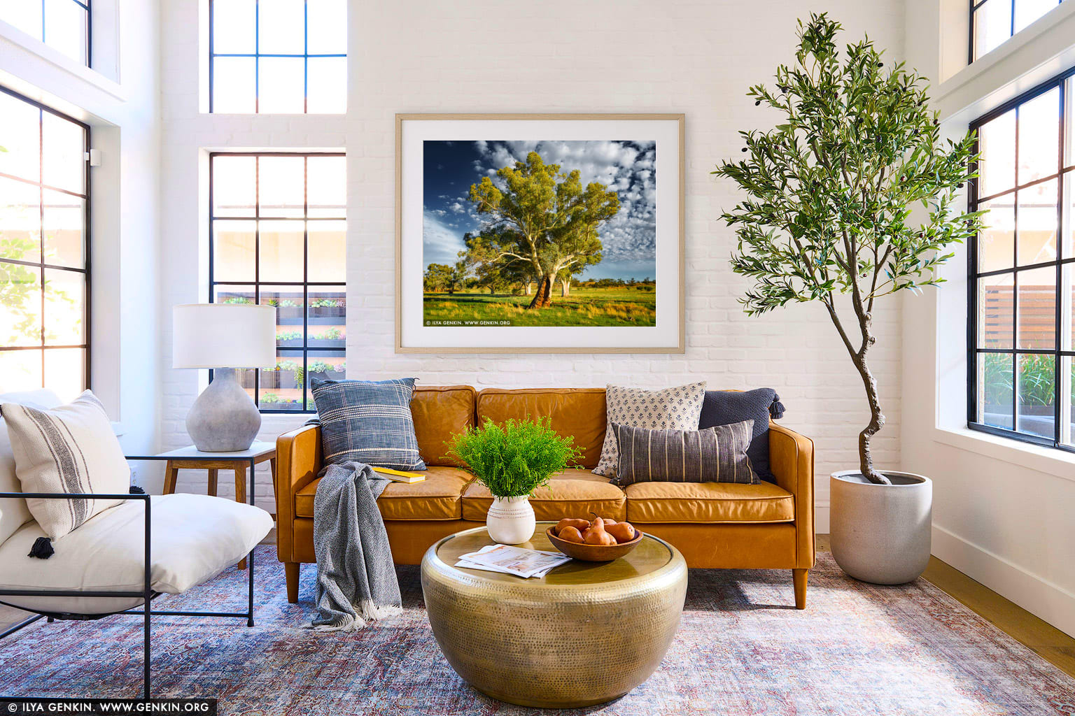Old River Gum (Eucalyptus camaldulensis) wall art in a minimalist living room interior