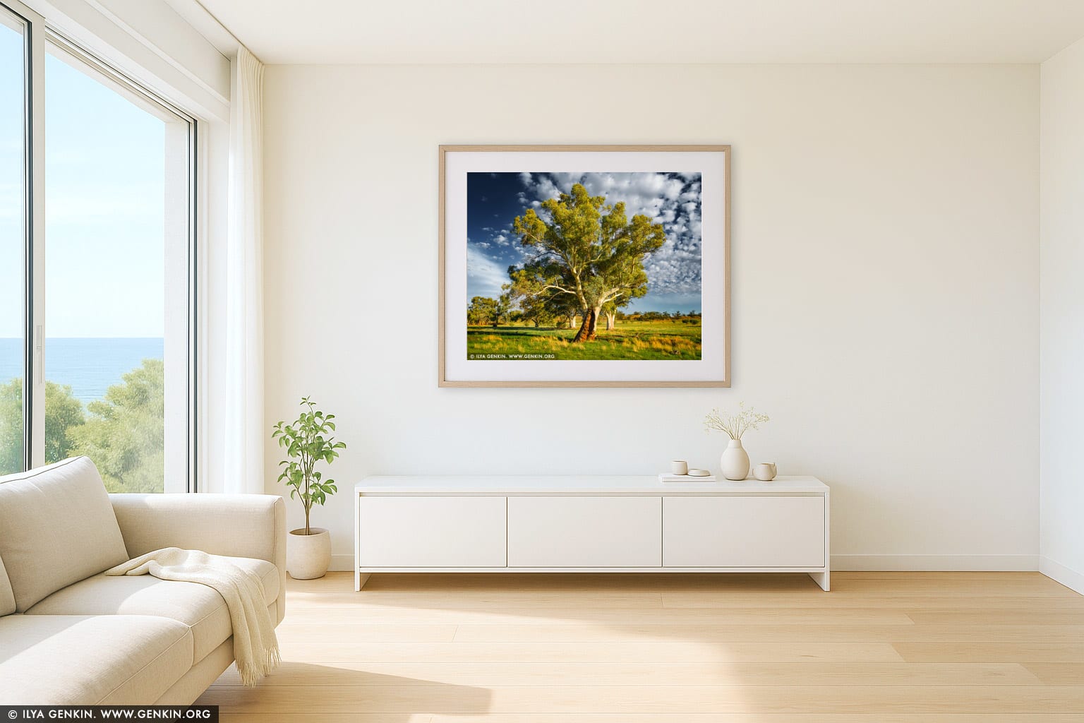 Old River Gum (Eucalyptus camaldulensis) wall art in a minimalist living room interior