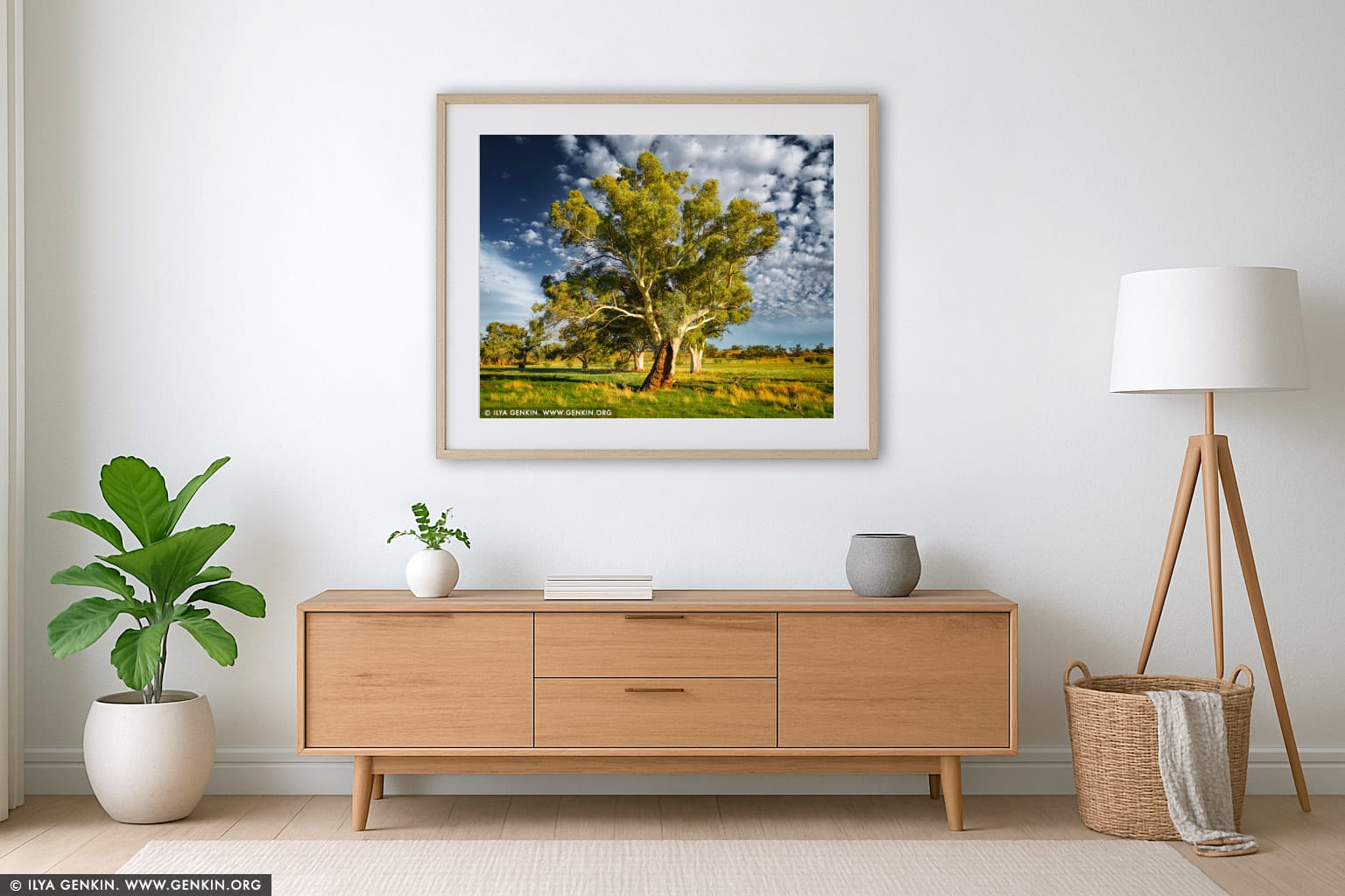Old River Gum (Eucalyptus camaldulensis) wall art in a luxury living room interior