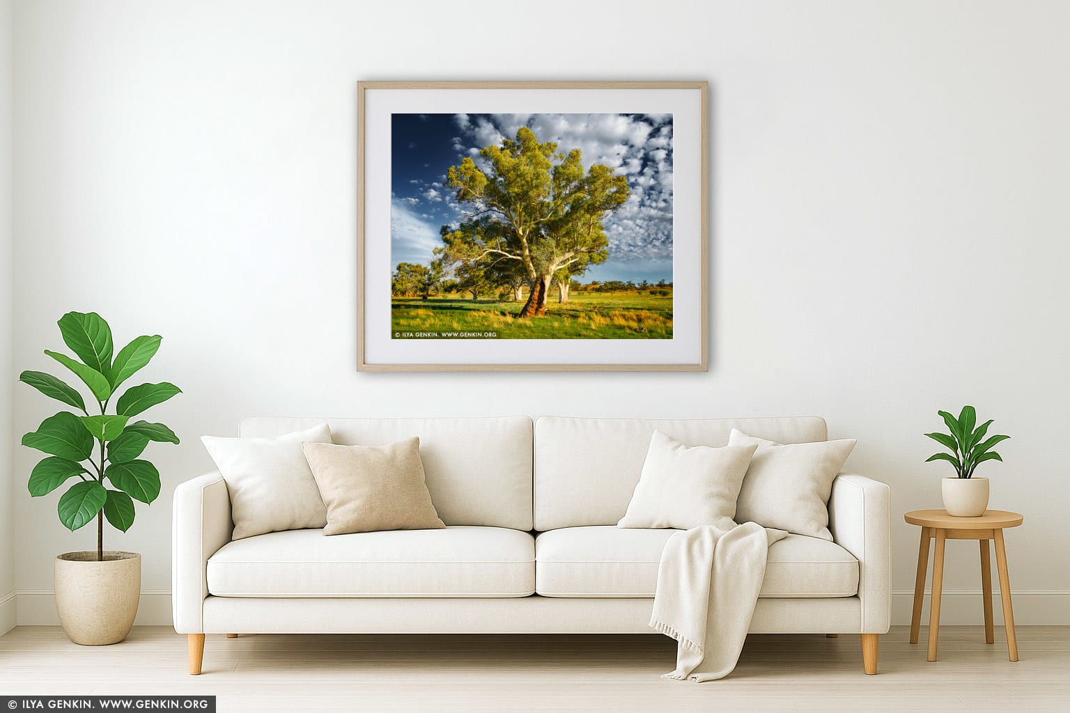 Old River Gum (Eucalyptus camaldulensis) wall art in a contemporary living room interior
