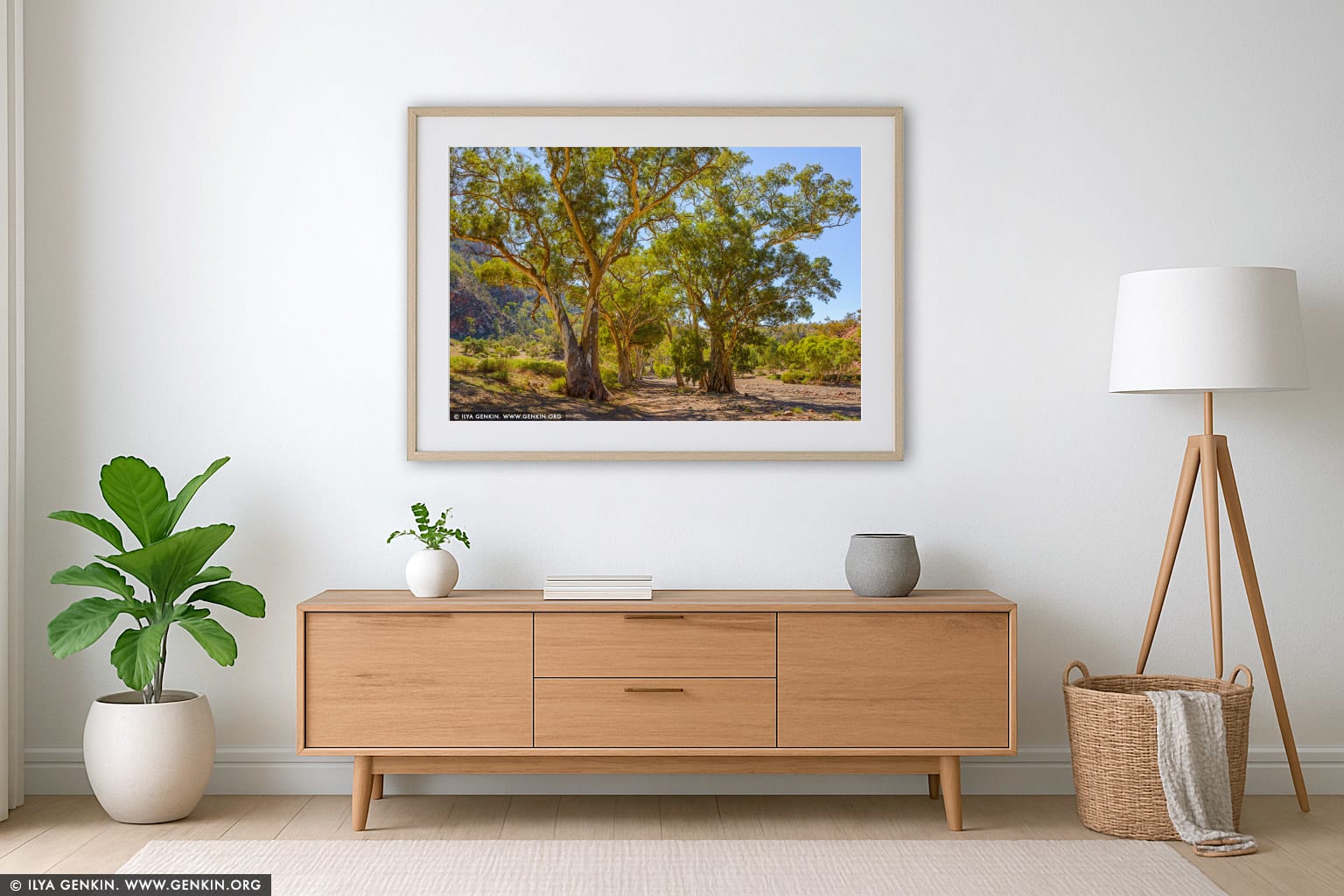 Avenue of River Red Gum in Brachina Gorge wall art in a modern living room interior
