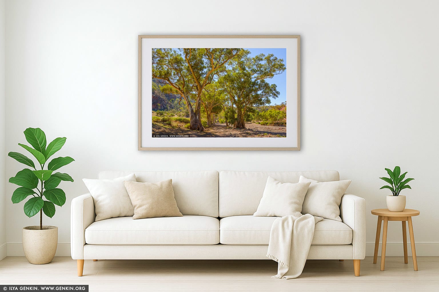 Avenue of River Red Gum in Brachina Gorge wall art in a minimalist living room interior
