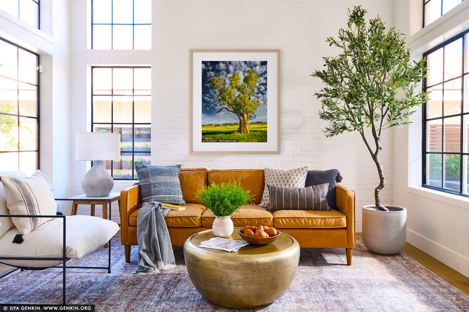 Old River Gum (Eucalyptus camaldulensis) wall art in a modern living room interior