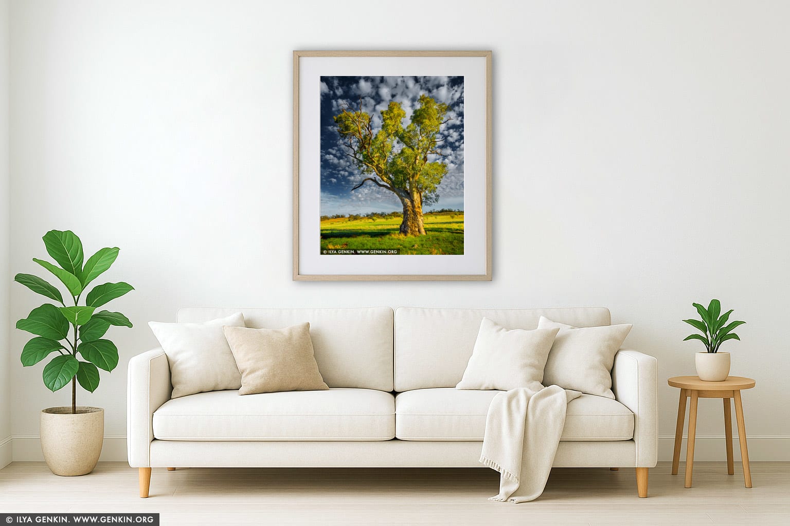 Old River Gum (Eucalyptus camaldulensis) wall art in a luxury living room interior