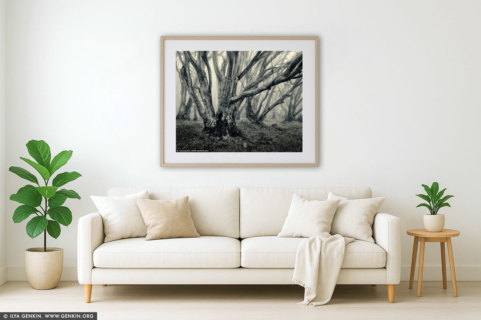 Misty Morning in High Country wall art in a modern living room interior