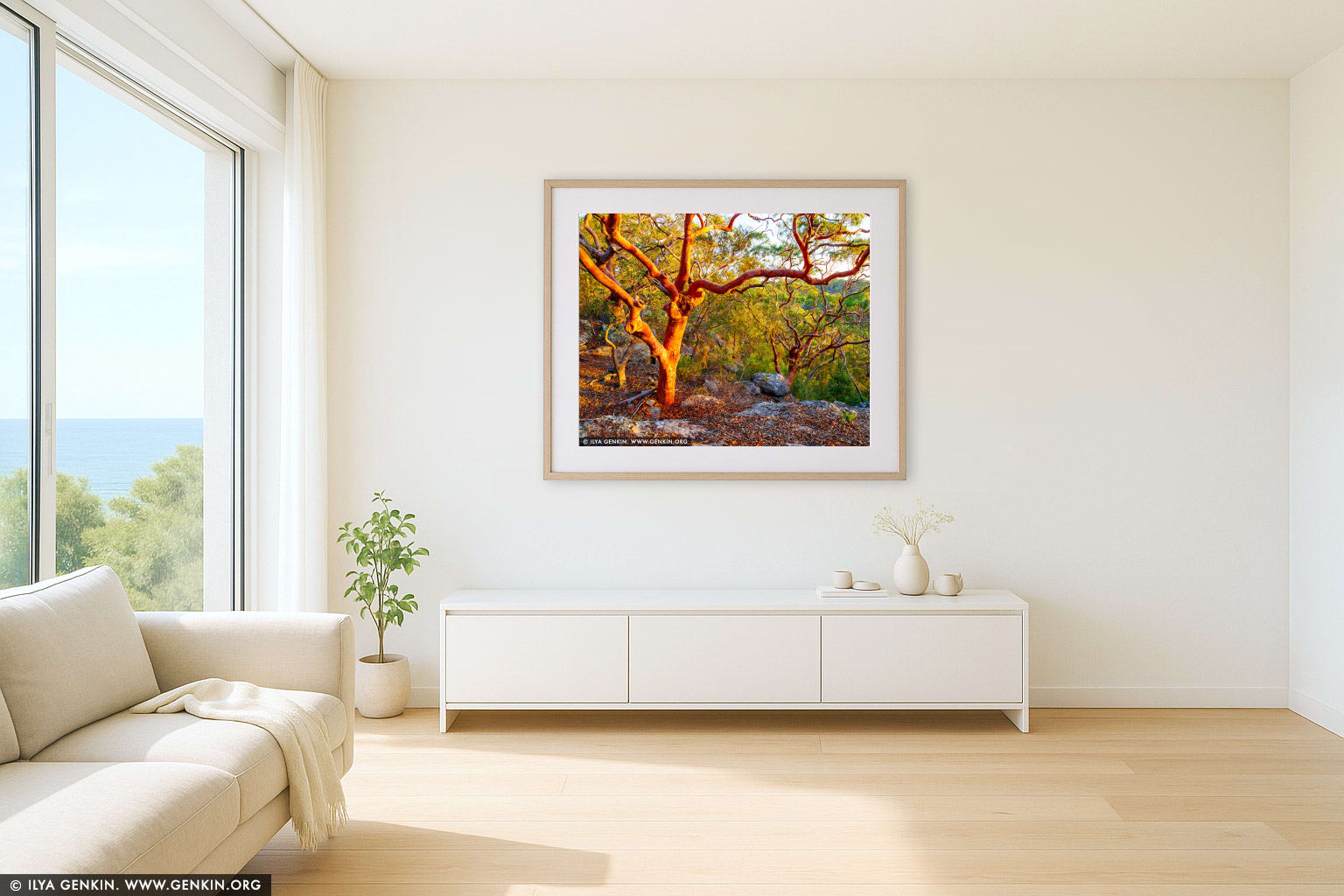 Sydney Red Gum Forest at Sunset wall art in a minimalist living room interior