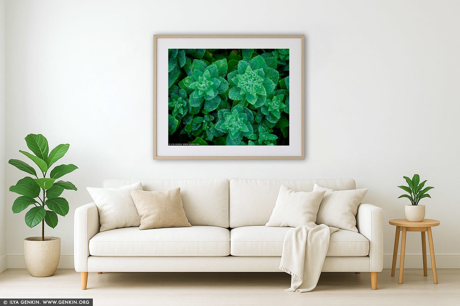 Flowers with Dew Drops wall art in a contemporary living room interior
