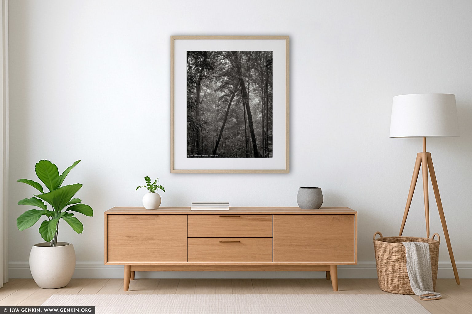 Misty Forest. Study #1 wall art in a minimalist living room interior