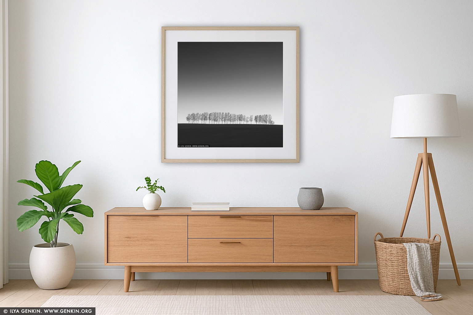 Thirty Eight Birches. Study 1 wall art in a modern living room interior