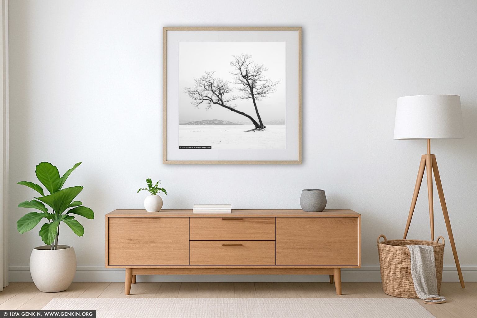 Kussharo Lake Tree, Study 1 wall art in a minimalist living room interior