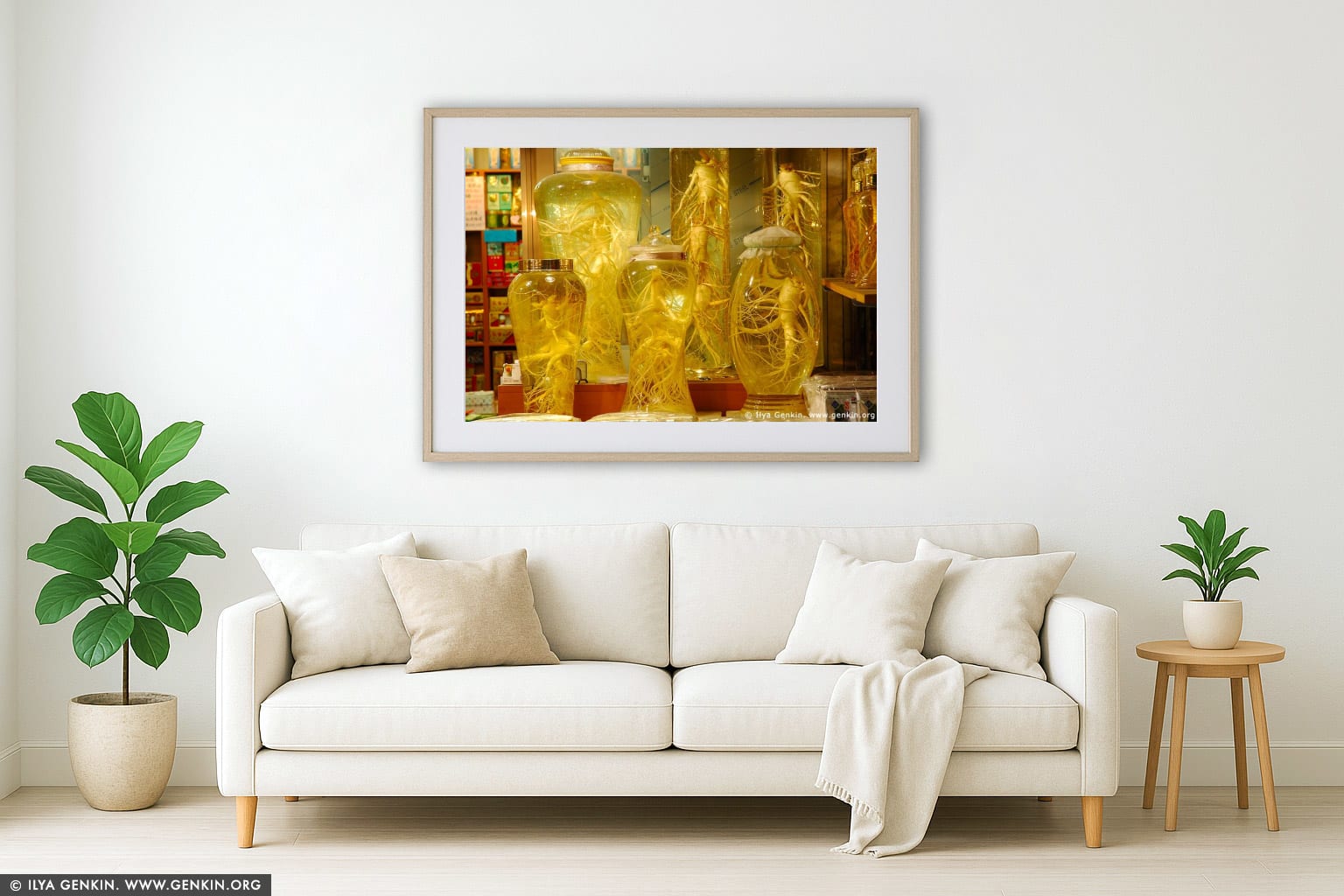 Ginseng Roots in Bottles in Namdaemun Market in Seoul, South Korea wall art in a contemporary living room interior
