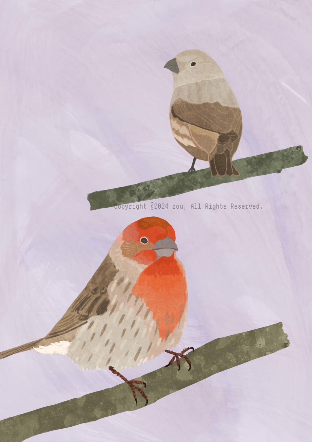 House Finch