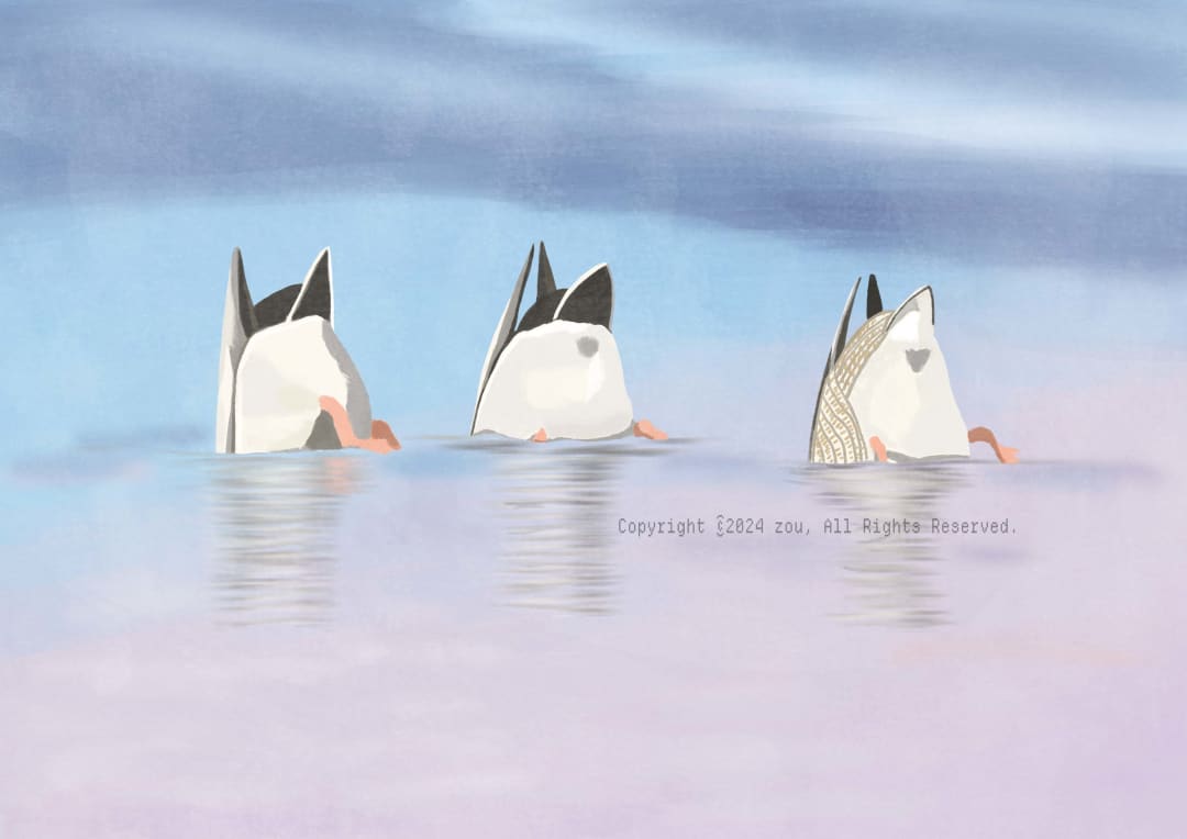 dabbling ducks