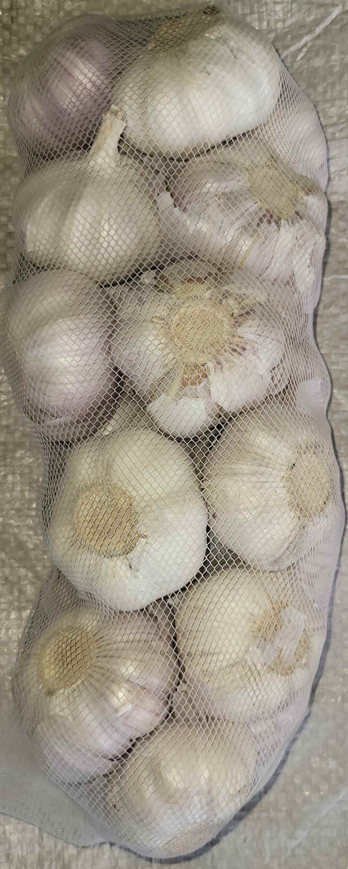 Foreign Garlic