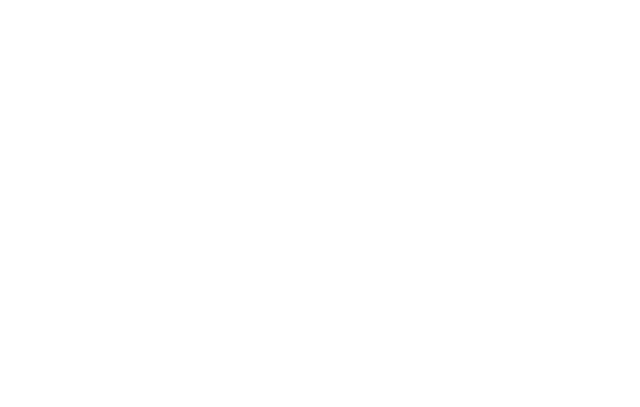 Nighttime Spectaculars