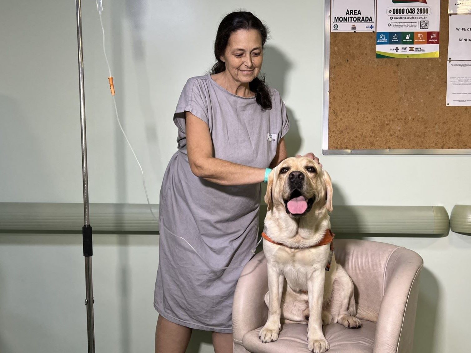 Outubro Rosa conta com cães labradores no CEPON