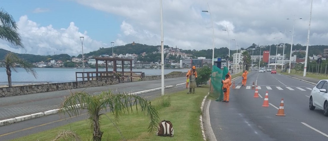 Limpeza da orla