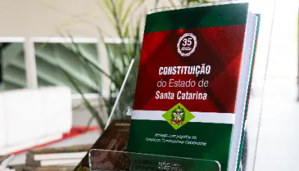 Constituição Estadual Constituição Estadual